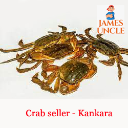Crab seller - Kankra Mr. Bijoy Halder in Deganga